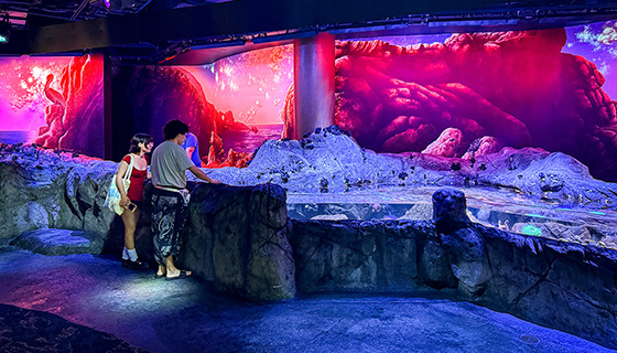 Kessil Lighting for Florida Aquarium Touch Pool