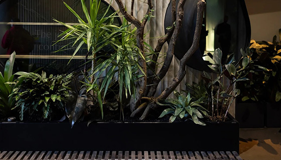 Kessil Lighting for Integrated Lighting Design for Biophilic Wellness: Cascada Thermal Springs