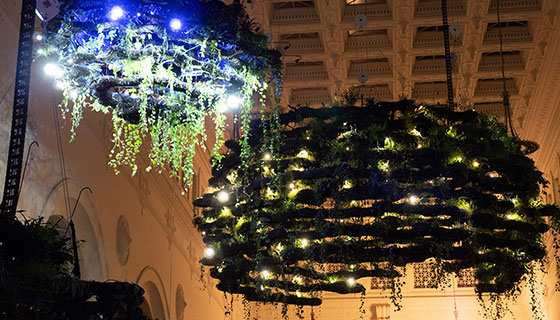 Kessil Lighting for Chicago Field Museum Hanging Gardens