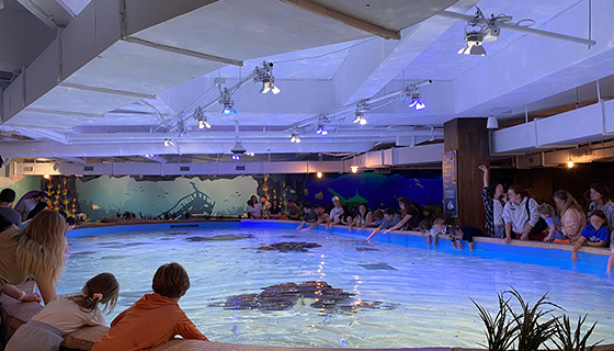 Kessil Lighting for Georgia Aquarium Explorers Cove