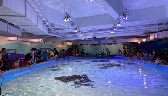 Kessil Lighting for Georgia Aquarium Explorers Cove