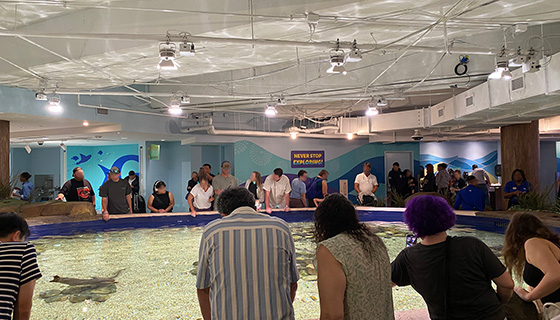 Kessil Lighting for Georgia Aquarium Explorers Cove