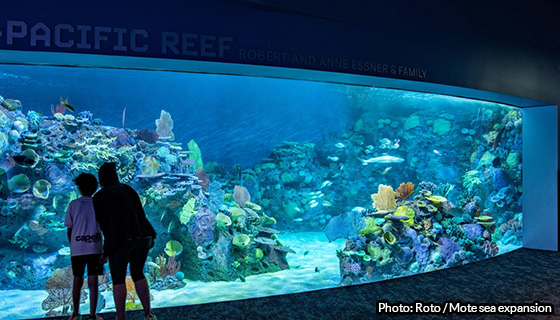 Kessil Lighting for Mote SEA in Sarasota