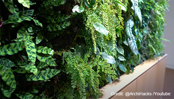 Kessil Lighting for Perkins+Will Vancouver Living Wall