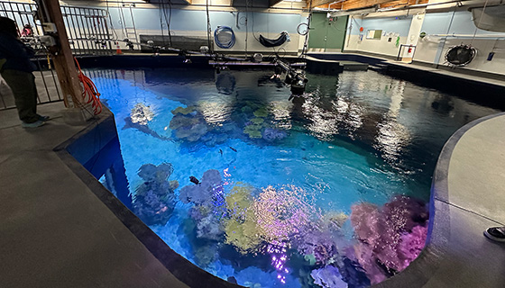 Kessil Lighting for Point Defiance Tropical Reef