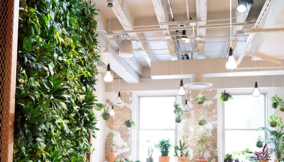 Kessil Lighting for Steelcase Coalesse